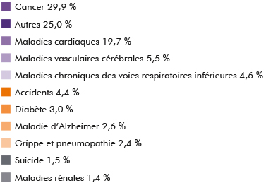 Légende du graphique